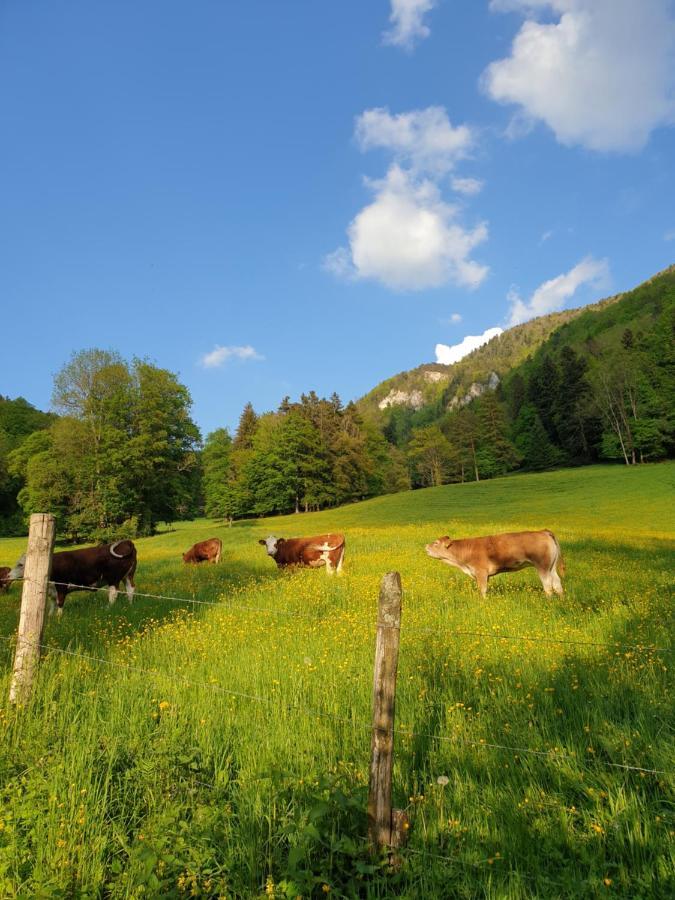 Agreable Chambre D'Hotes, Au Calme, Dans La Nature Roches Exterior photo