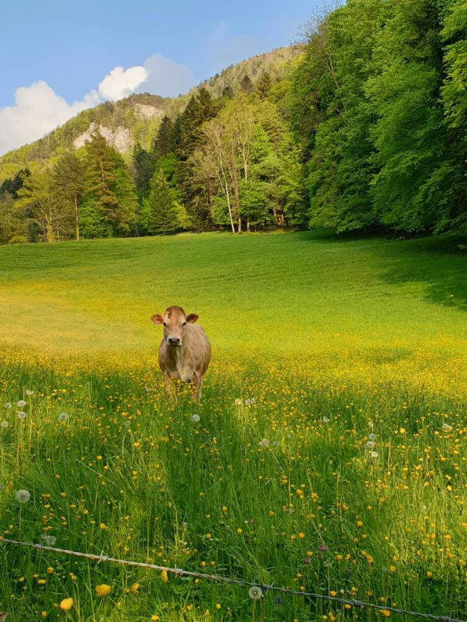 Agreable Chambre D'Hotes, Au Calme, Dans La Nature Roches Exterior photo